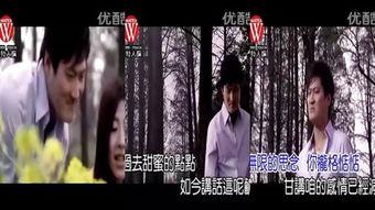 91.avacom,揭秘热门视频平台的魅力与挑战