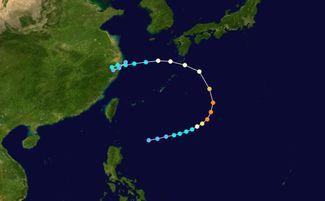 温州历年台风 91年,回顾那场风雨肆虐的世纪风暴